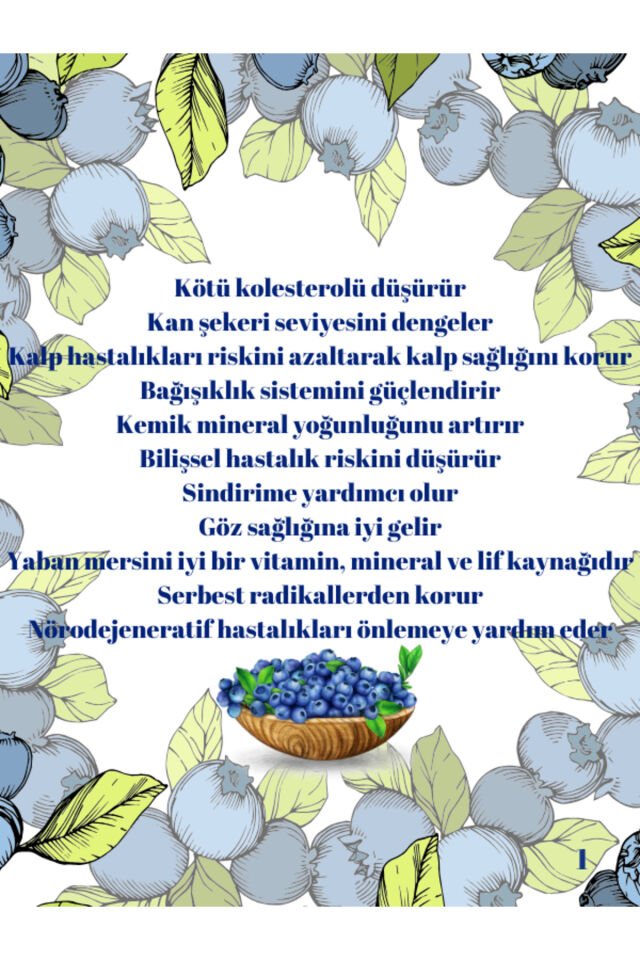 Taneli Yaban Mersini Özü 1400gr